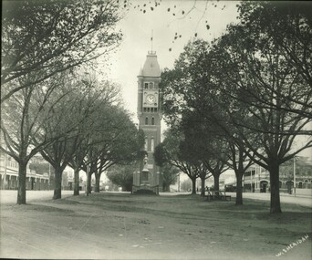 Camperdown