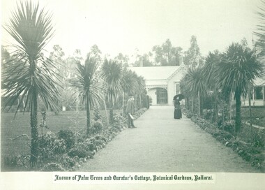 Avenue of Palms, Ballarat Botanical Gardens