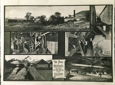 Brind's Advertisement