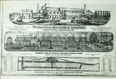 Prince of Wales lithograph