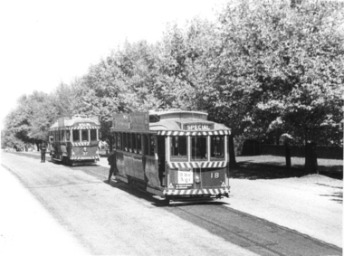 Trams in Lydiard St Nth