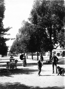 Taws (Upper Sturt St West Ballarat)