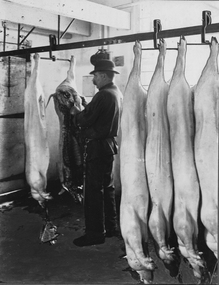 Inspection of Pigs