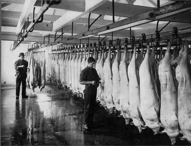 Portion of Hanging Room