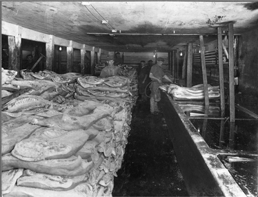 Portion of No 1 Cellar