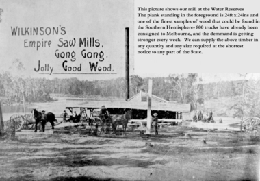 Wilkinson's Empire Sawmills