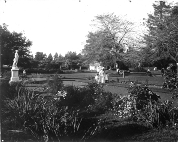 A stroll in the botanic gardens