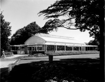 Begonia House 1960's