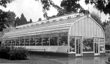 Early hothouse