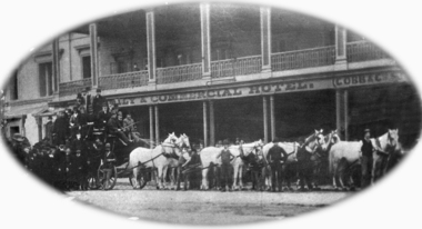 Cabbage Tree Ned & George Hotel
