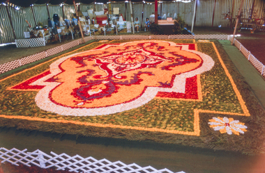 Slide - Photograph by Herb Richmond, 1973 Ballarat 21st Begonia Festival