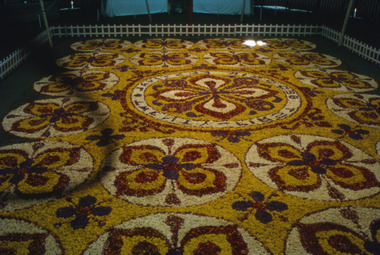 Slide (item) - Photograph by Herb Richmond, 1973 Ballarat 21st Begonia Festival