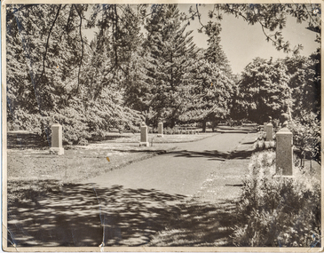 Print - Photograph by Herb Richmond, Avenue of Prime Ministers, Ballarat Botanical Gardens