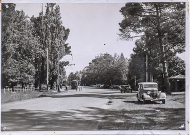 Print - Photograph by Herb Richmond, Ballarat Botanical Gardens