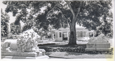Print - Photograph by Herb Richmond, The Lions. Ballarat Botanical Gardens