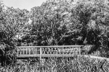 Film - Photograph by Herb Richmond. ca 1971, Rustic Bridge in Fairyland, Lake Wendouree, Ballarat