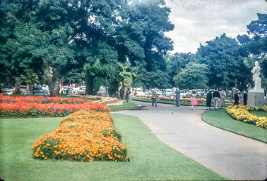 Print, Ballarat Begonia Festival