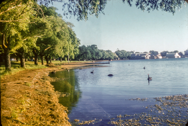 Print, Lake Wendouree