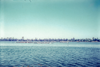 Print, BALLARAT - Lake Wendouree