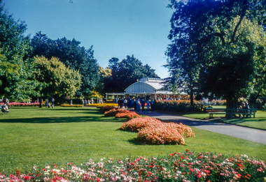 Print, Ballarat Begonia Festival