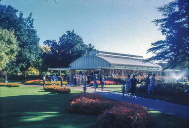 Print, Ballarat Begonia Festival