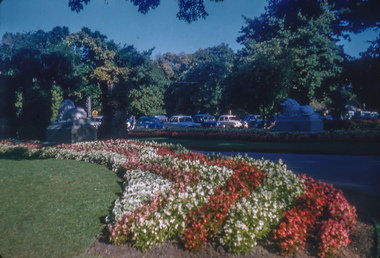 Print, Ballarat Begonia Festival