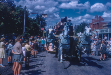 Print, Ballarat Begonia Festival Parade