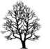 Narre Warren and District Family History Group