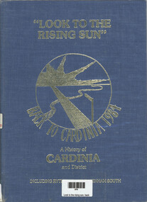 Look to the rising sun book cover