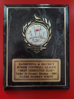 Dandenong & District Junior Football League plaque