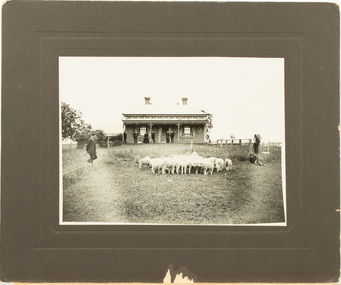 A single fronted brick farmhouse with two chimneys. People are on the front verandah and in the front paddock. There are sheep in the front paddock.