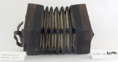 Concertina