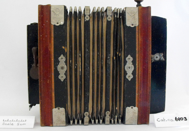 Accordion, Regal Melodeon Accordion