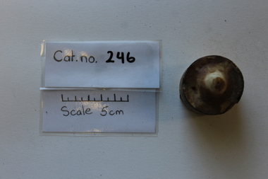Domestic object - Candle