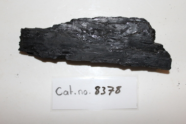 Long shard of coal
