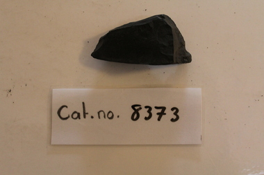 Coal shard