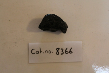 Small shiny coal
