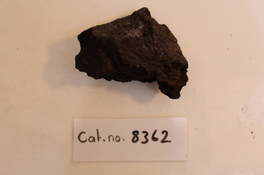 Lignite/brown coal