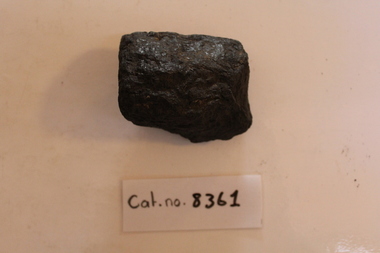 Coal