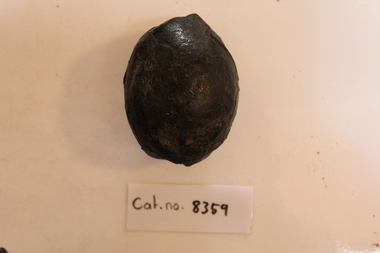 Ovoid coal/"the black sha"