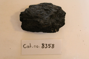 Coal