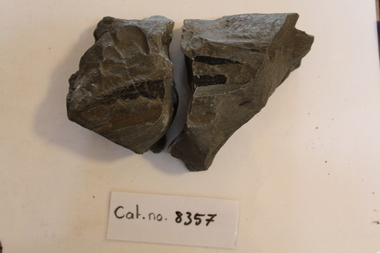 Broken mudstone with leaves