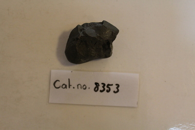 Mudstone with leaves and fragments