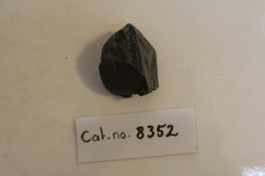 Mudstone with leaves