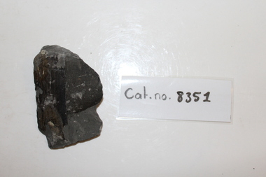 Mudstone with wood