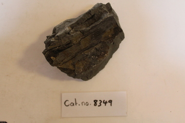 Mudstone with wood and slip surface