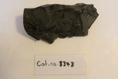 Mudstone with wood