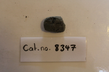 Small mudstone with leaf fragments
