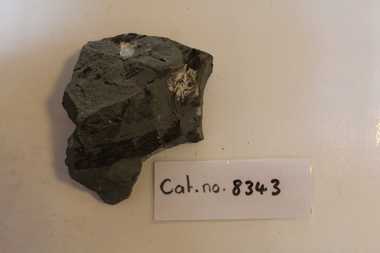 Mudstone with fossils and secondary minsral