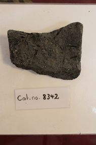 Mudstone with plant fragment